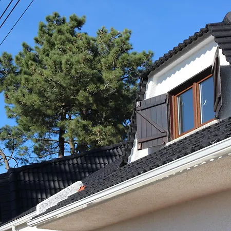 Bulle Entre Parentheses Homestay