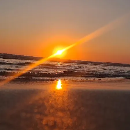 Bulle Entre Parentheses