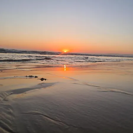 Bulle Entre Parentheses