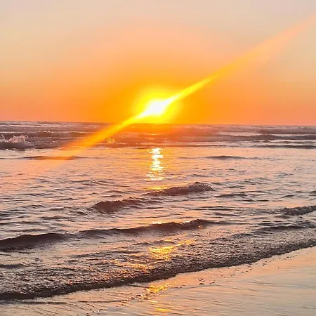 Bulle Entre Parentheses *