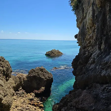 Bulle Entre Parentheses