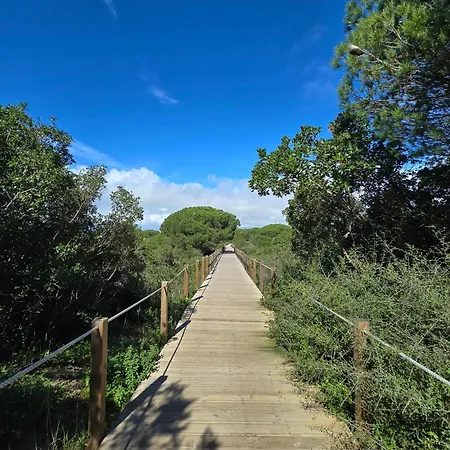 Bulle Entre Parentheses *