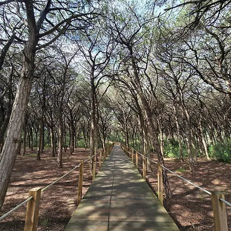 Bulle Entre Parentheses * Aroeira (Setubal)