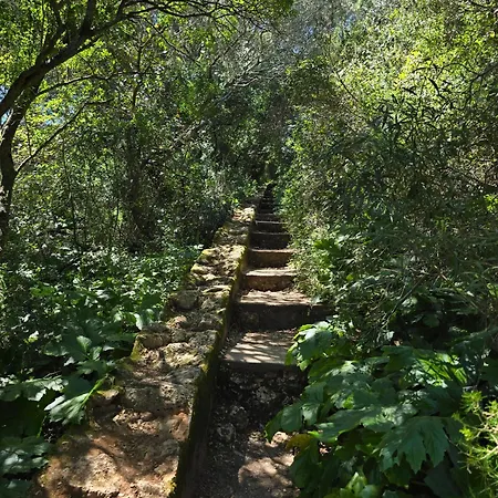 Accommodatie bij particulieren Bulle Entre Parentheses