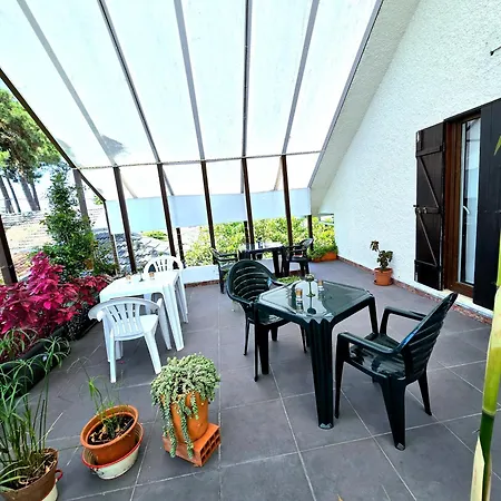 Bulle Entre Parentheses * Aroeira (Setubal)