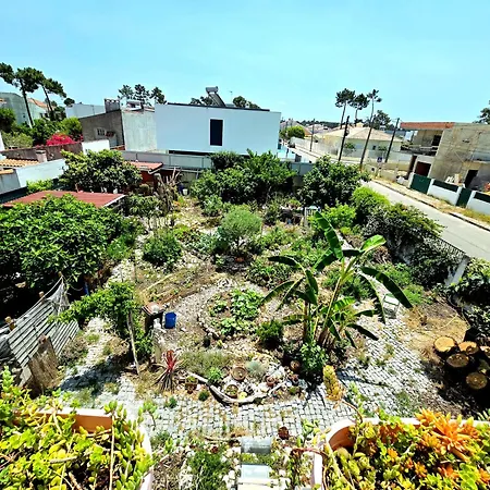 Bulle Entre Parentheses * Aroeira (Setubal)